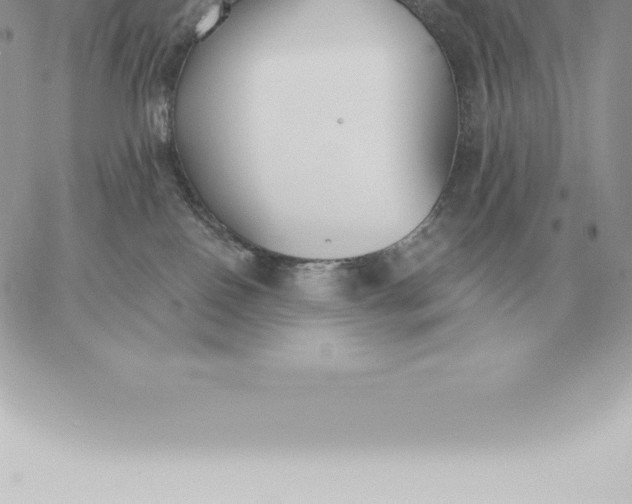 X0000060270090200511112058