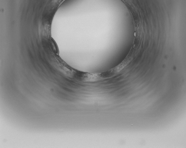 X0000060270093200511112058