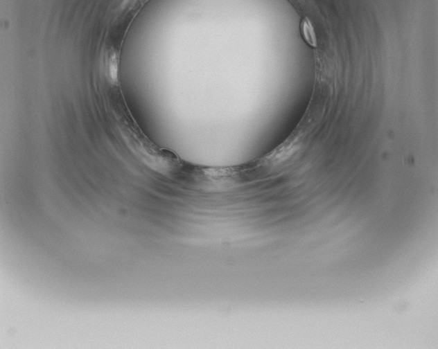 X0000060270095200511112058