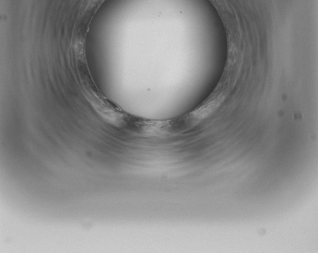 X0000060270096200511112058