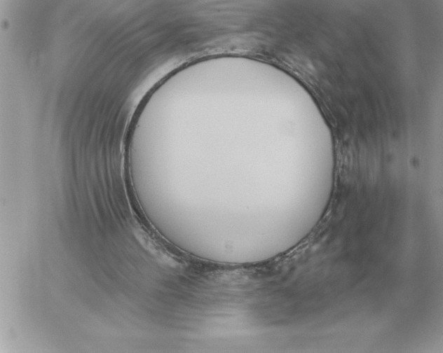 X0000060270100200511112057