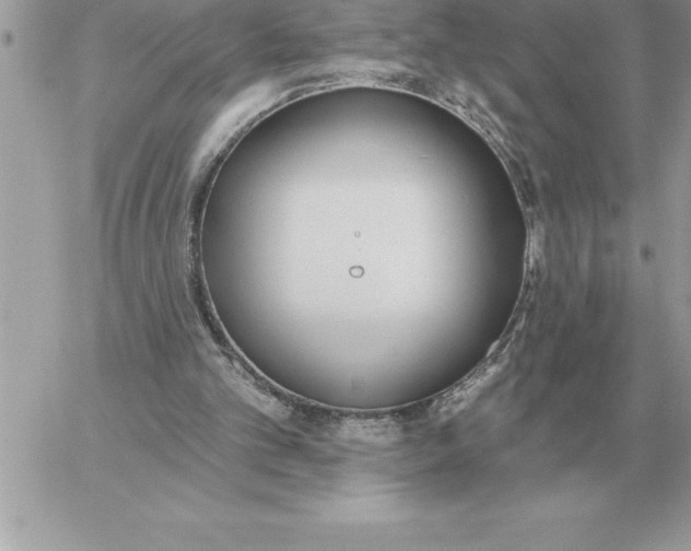 X0000060270101200511112057