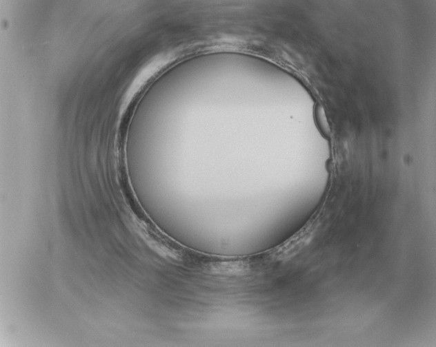 X0000060270102200511112057