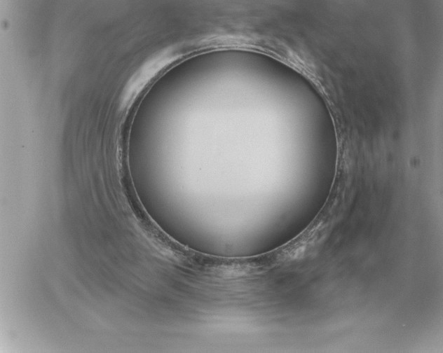 X0000060270103200511112057