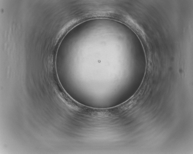 X0000060270107200511112057