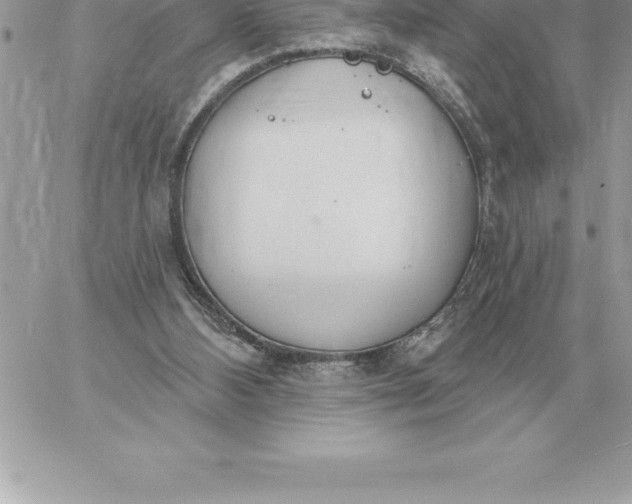 X0000060270108200511112057