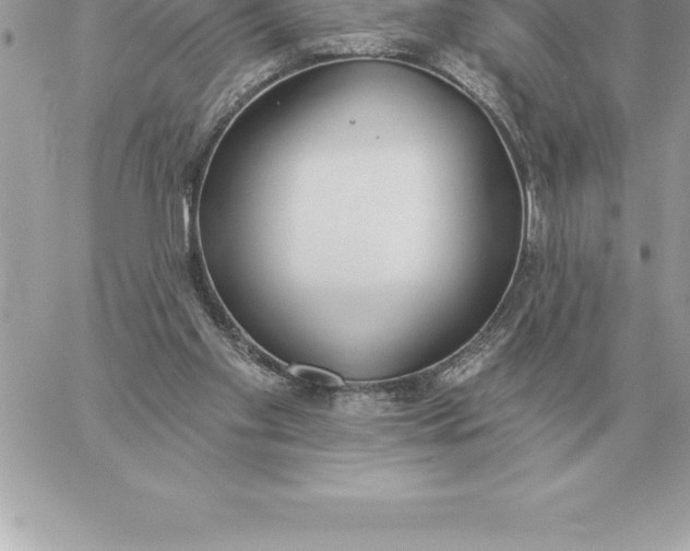 X0000060270109200511112057