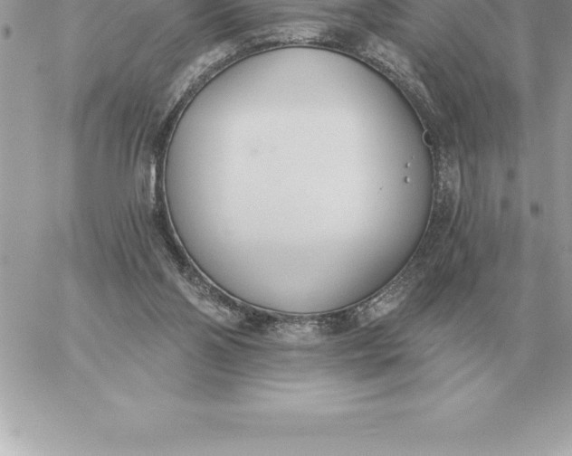 X0000060270110200511112057