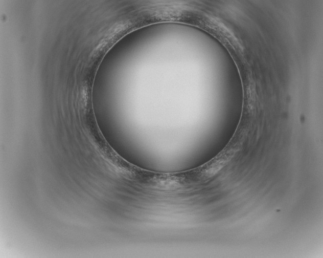 X0000060270113200511112057