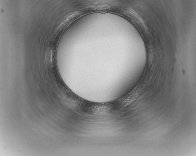 X0000060270115200511112057