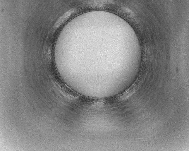 X0000060270116200511112057