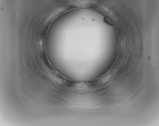 X0000060270117200511112057