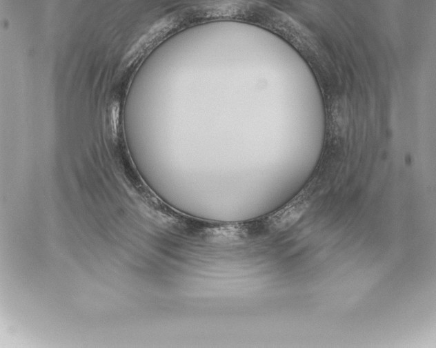 X0000060270118200511112057