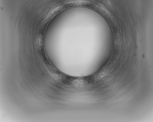 X0000060270119200511112057