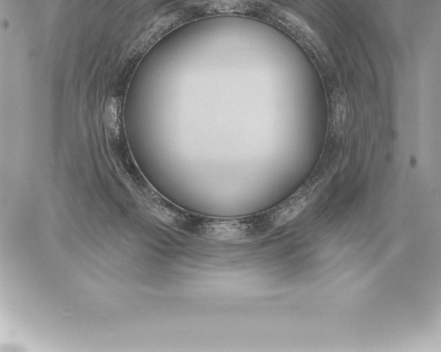 X0000060270121200511112057