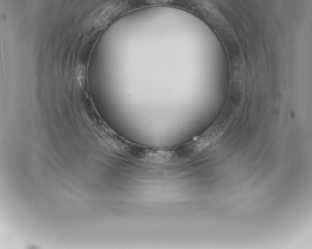 X0000060270125200511112057