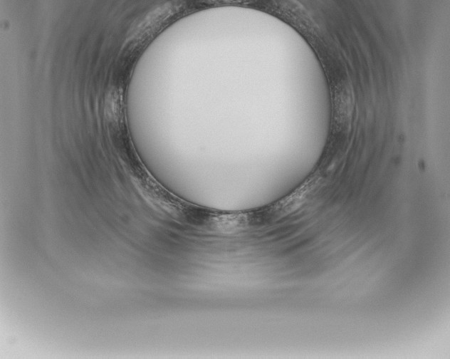 X0000060270126200511112057