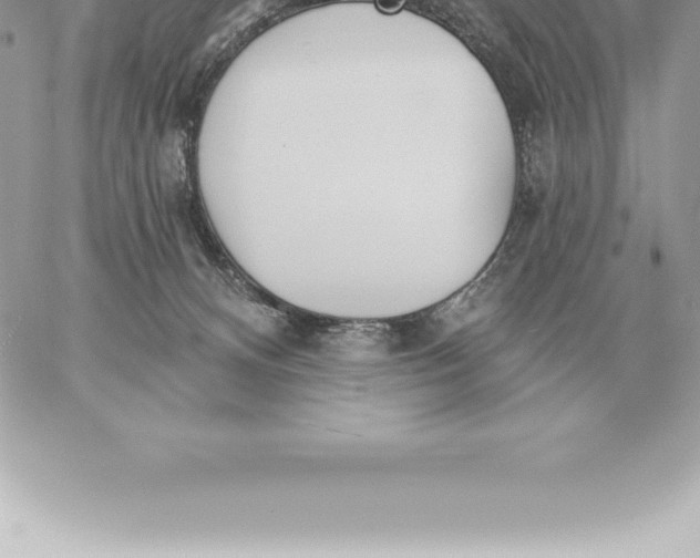 X0000060270128200511112057