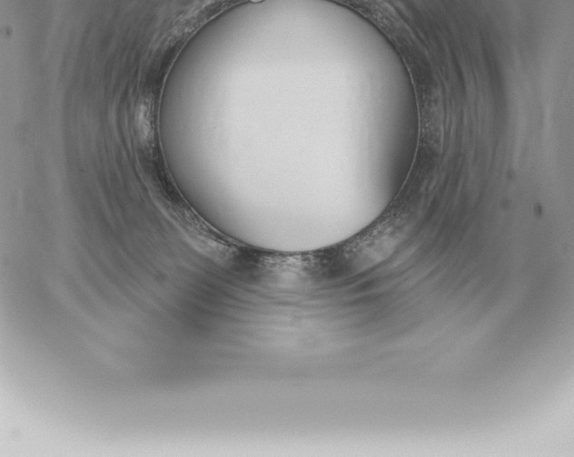 X0000060270131200511112057