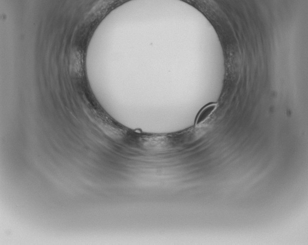 X0000060270132200511112057