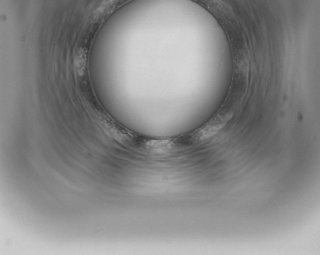 X0000060270133200511112057