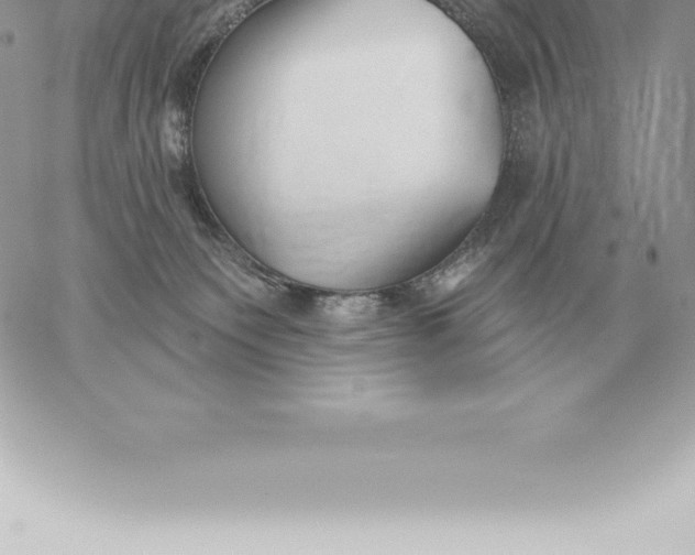 X0000060270135200511112057