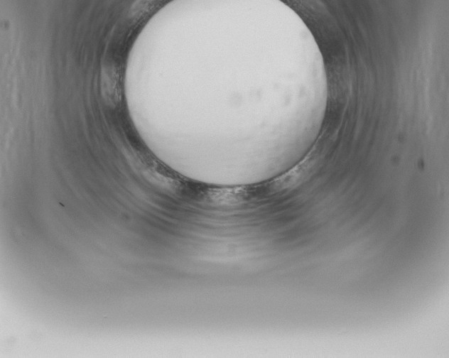 X0000060270136200511112057