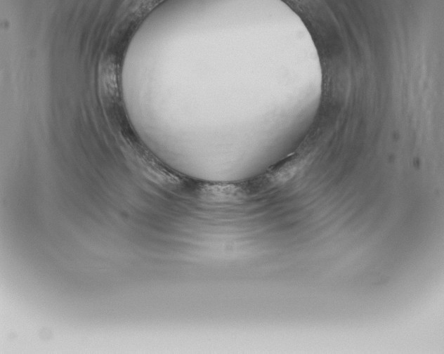 X0000060270137200511112057