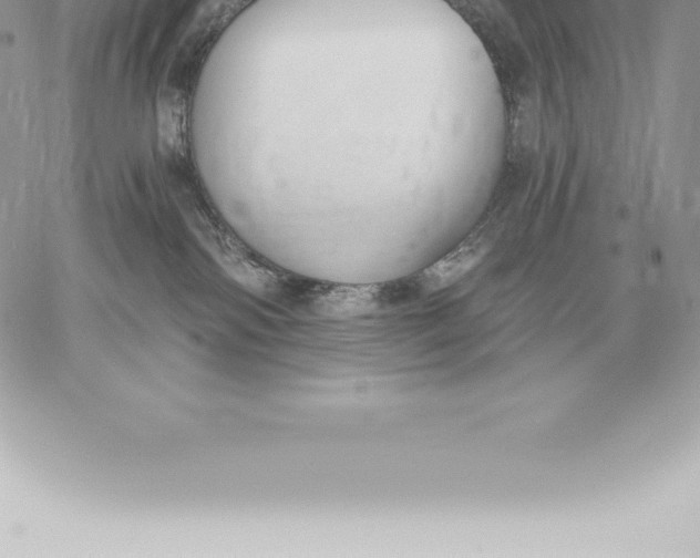 X0000060270138200511112056