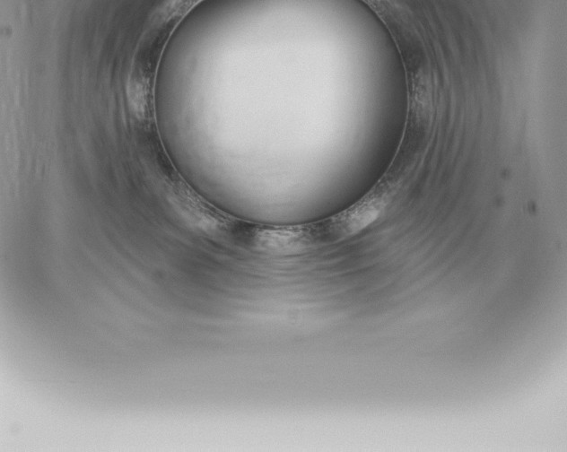 X0000060270139200511112056