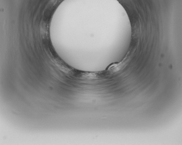 X0000060270140200511112056