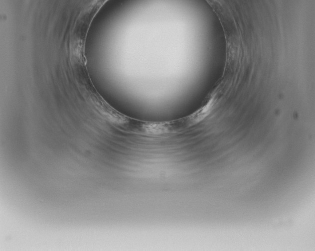 X0000060270141200511112056