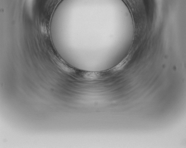 X0000060270142200511112056