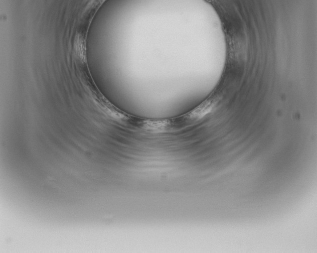 X0000060270143200511112056