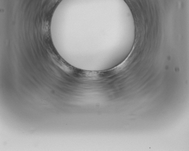 X0000060270144200511112056