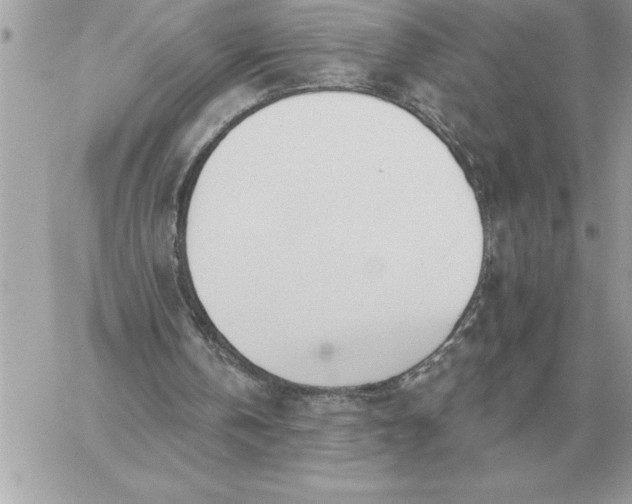 X0000060270146200511112056