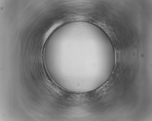 X0000060270147200511112056