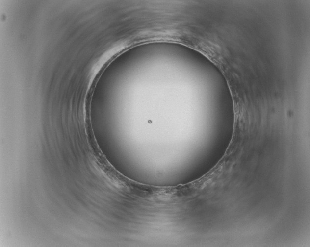 X0000060270148200511112056