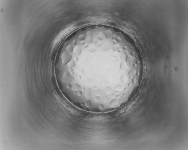 X0000060270149200511112056