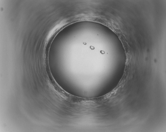 X0000060270150200511112056