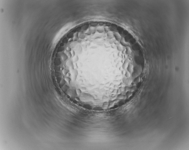 X0000060270151200511112056