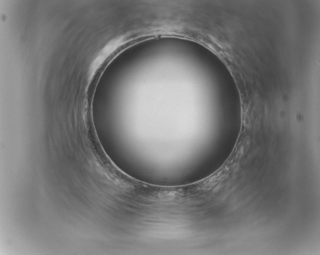 X0000060270152200511112056