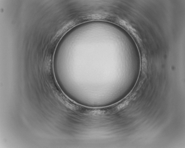 X0000060270153200511112056