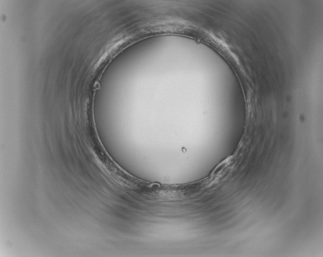 X0000060270154200511112056