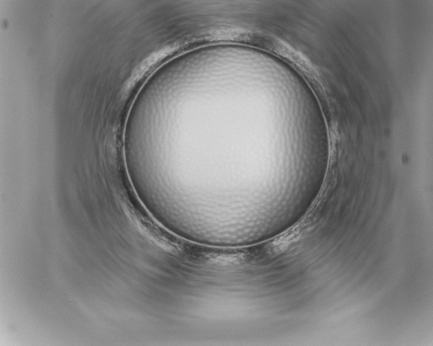 X0000060270155200511112056