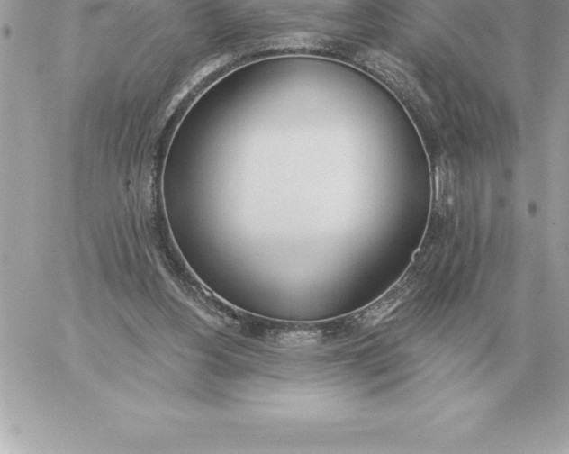 X0000060270156200511112056