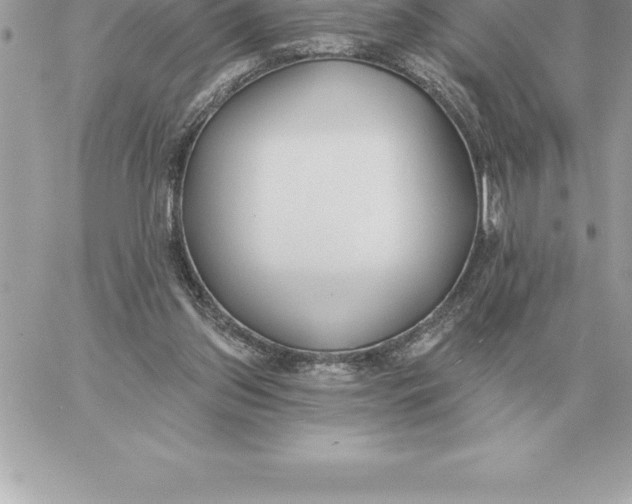 X0000060270157200511112056