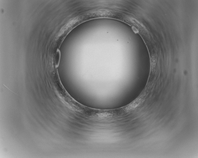 X0000060270158200511112056