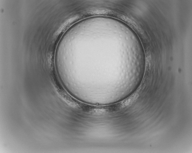 X0000060270159200511112056