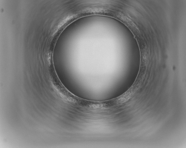 X0000060270160200511112056